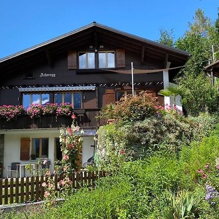 Chalet Acheregg Lägenhet Wengen Exteriör bild