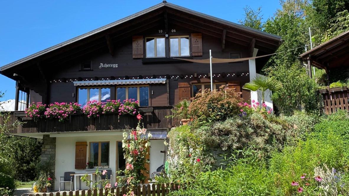 Chalet Acheregg Lägenhet Wengen Exteriör bild