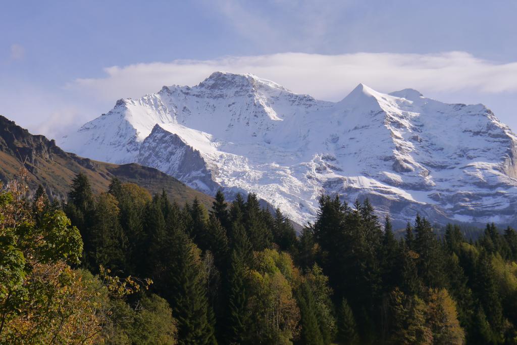 Chalet Acheregg Lägenhet Wengen Exteriör bild