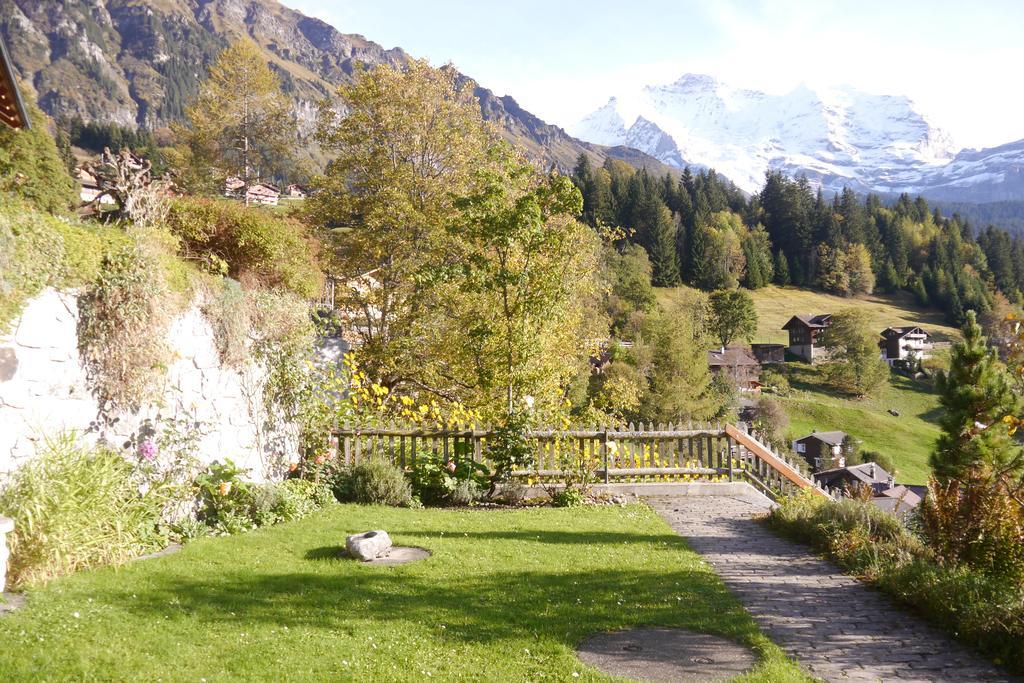 Chalet Acheregg Lägenhet Wengen Exteriör bild