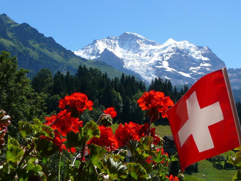 Chalet Acheregg Lägenhet Wengen Rum bild