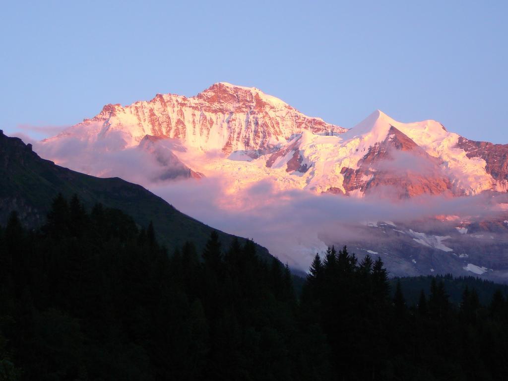 Chalet Acheregg Lägenhet Wengen Rum bild