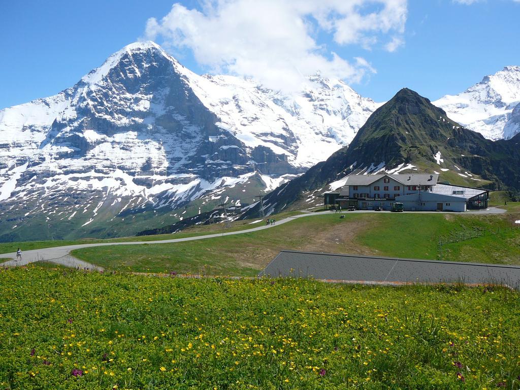 Chalet Acheregg Lägenhet Wengen Rum bild