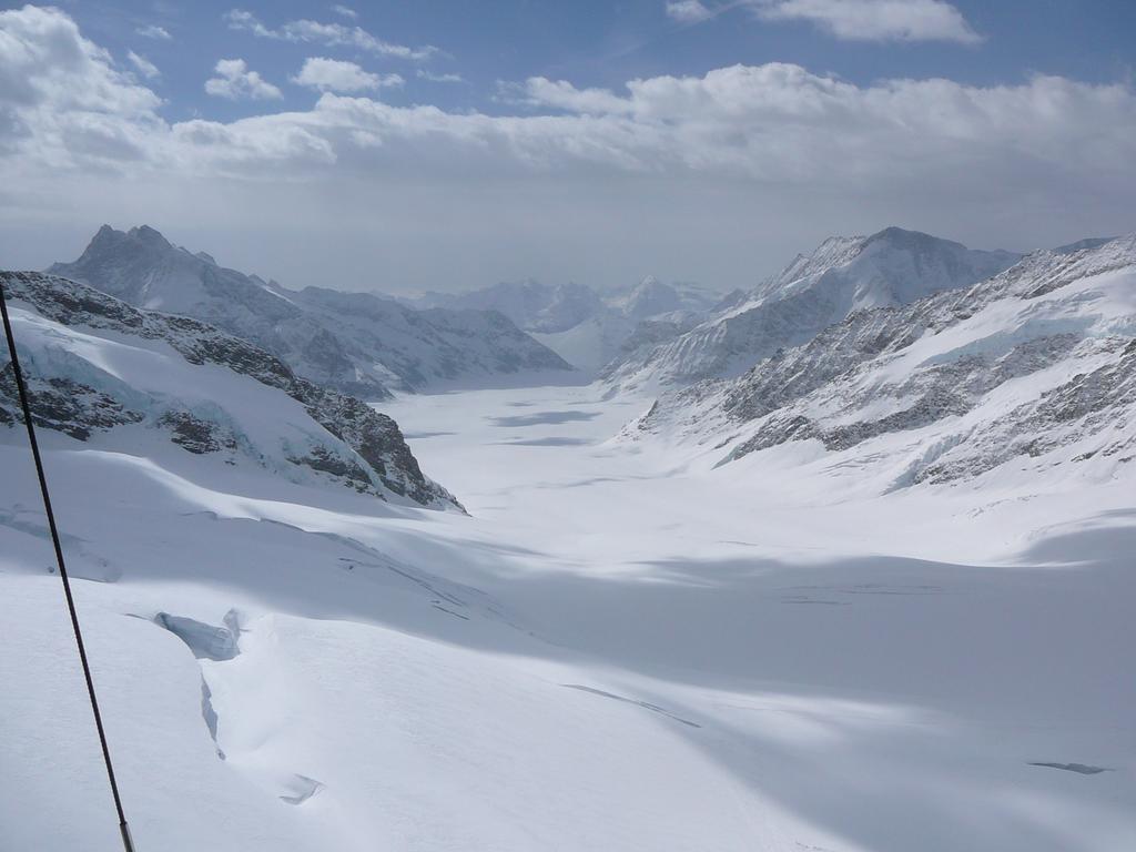 Chalet Acheregg Lägenhet Wengen Rum bild