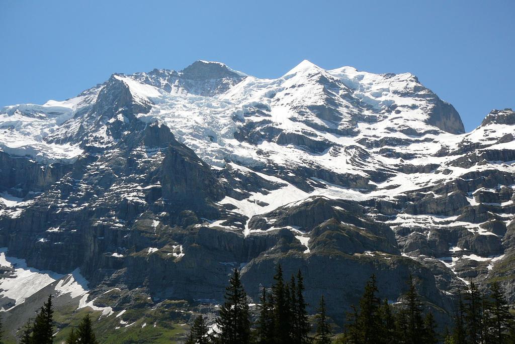 Chalet Acheregg Lägenhet Wengen Rum bild