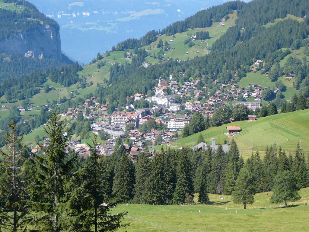 Chalet Acheregg Lägenhet Wengen Rum bild