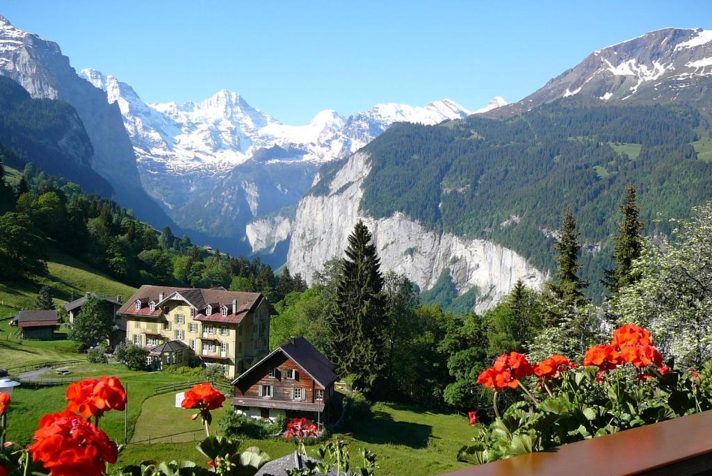 Chalet Acheregg Lägenhet Wengen Exteriör bild