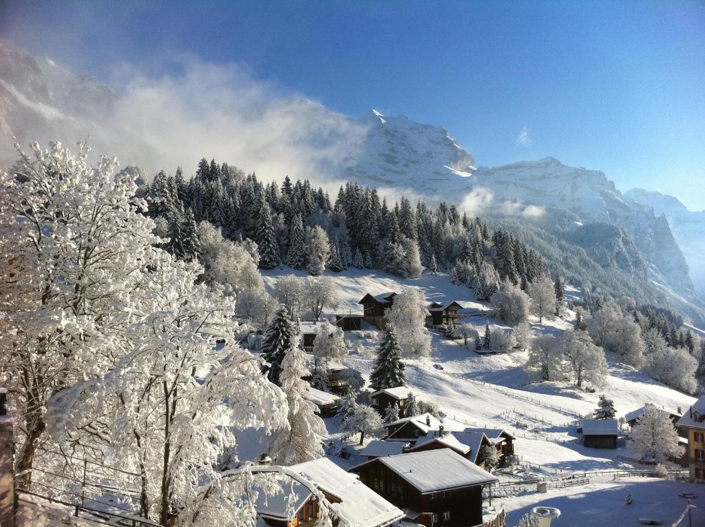 Chalet Acheregg Lägenhet Wengen Exteriör bild