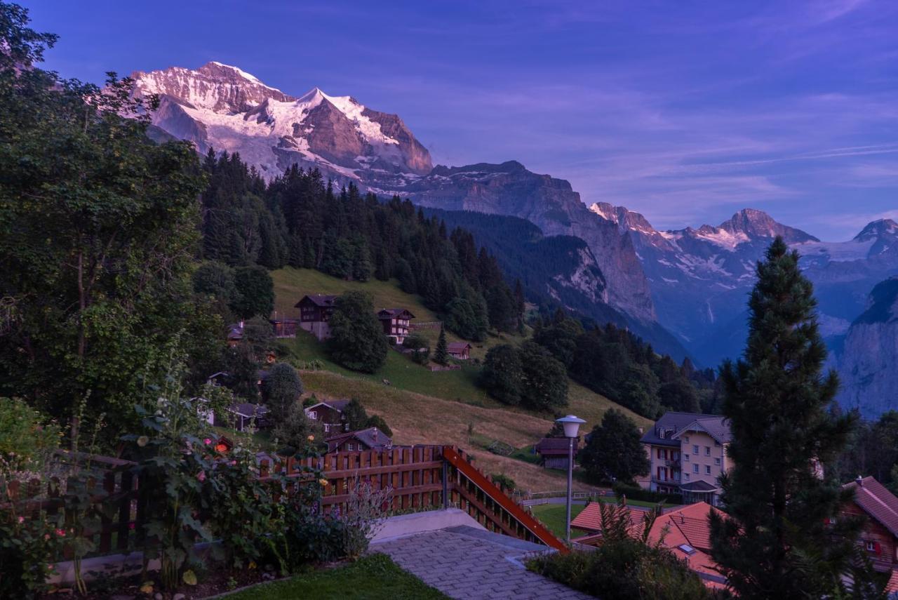 Chalet Acheregg Lägenhet Wengen Exteriör bild