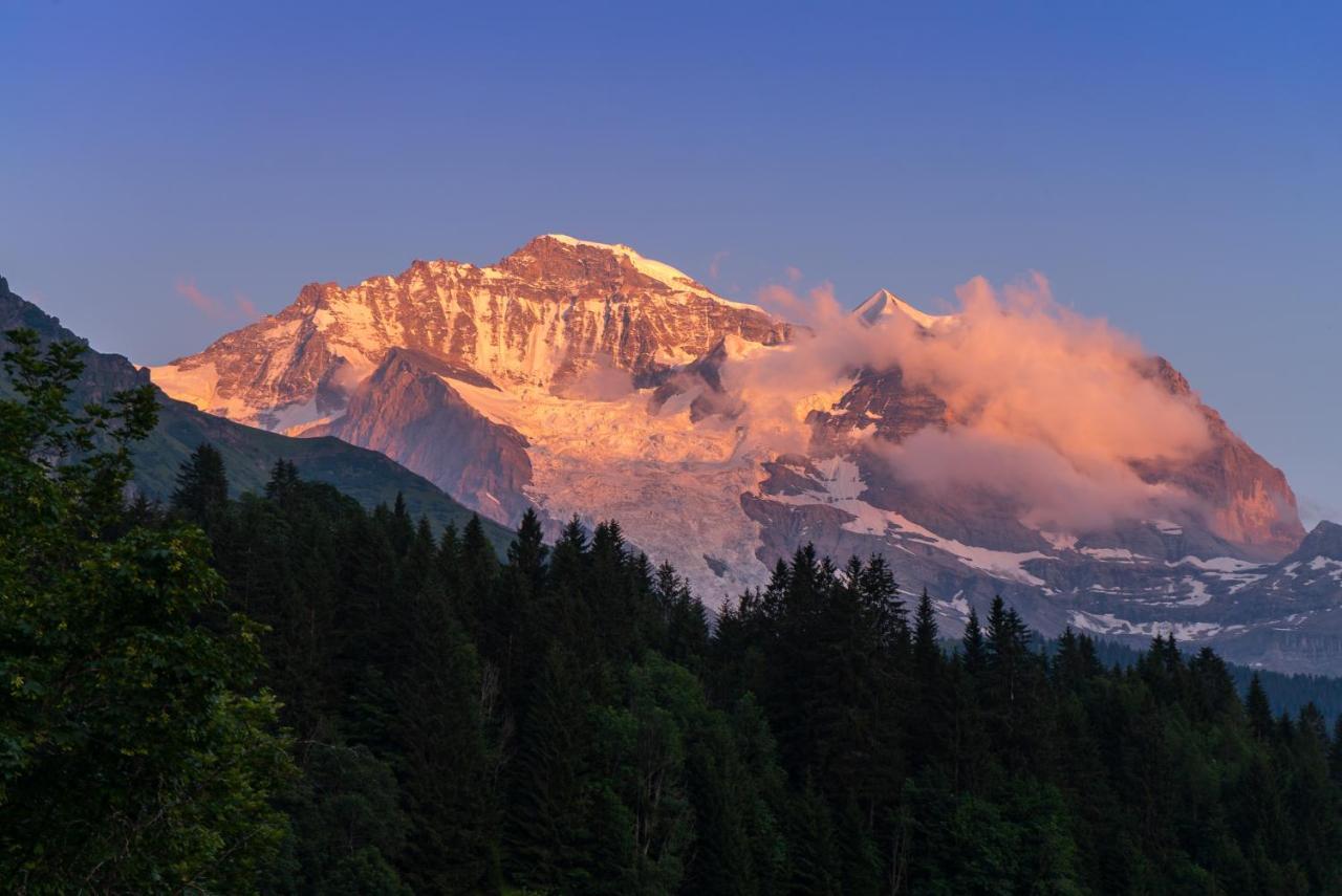 Chalet Acheregg Lägenhet Wengen Exteriör bild