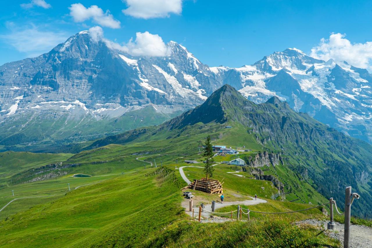 Chalet Acheregg Lägenhet Wengen Exteriör bild