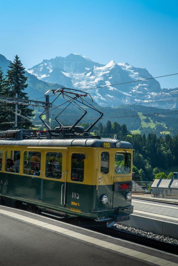 Chalet Acheregg Lägenhet Wengen Exteriör bild