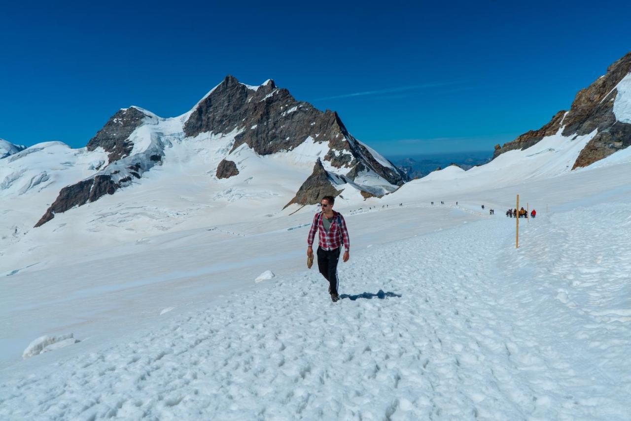 Chalet Acheregg Lägenhet Wengen Exteriör bild