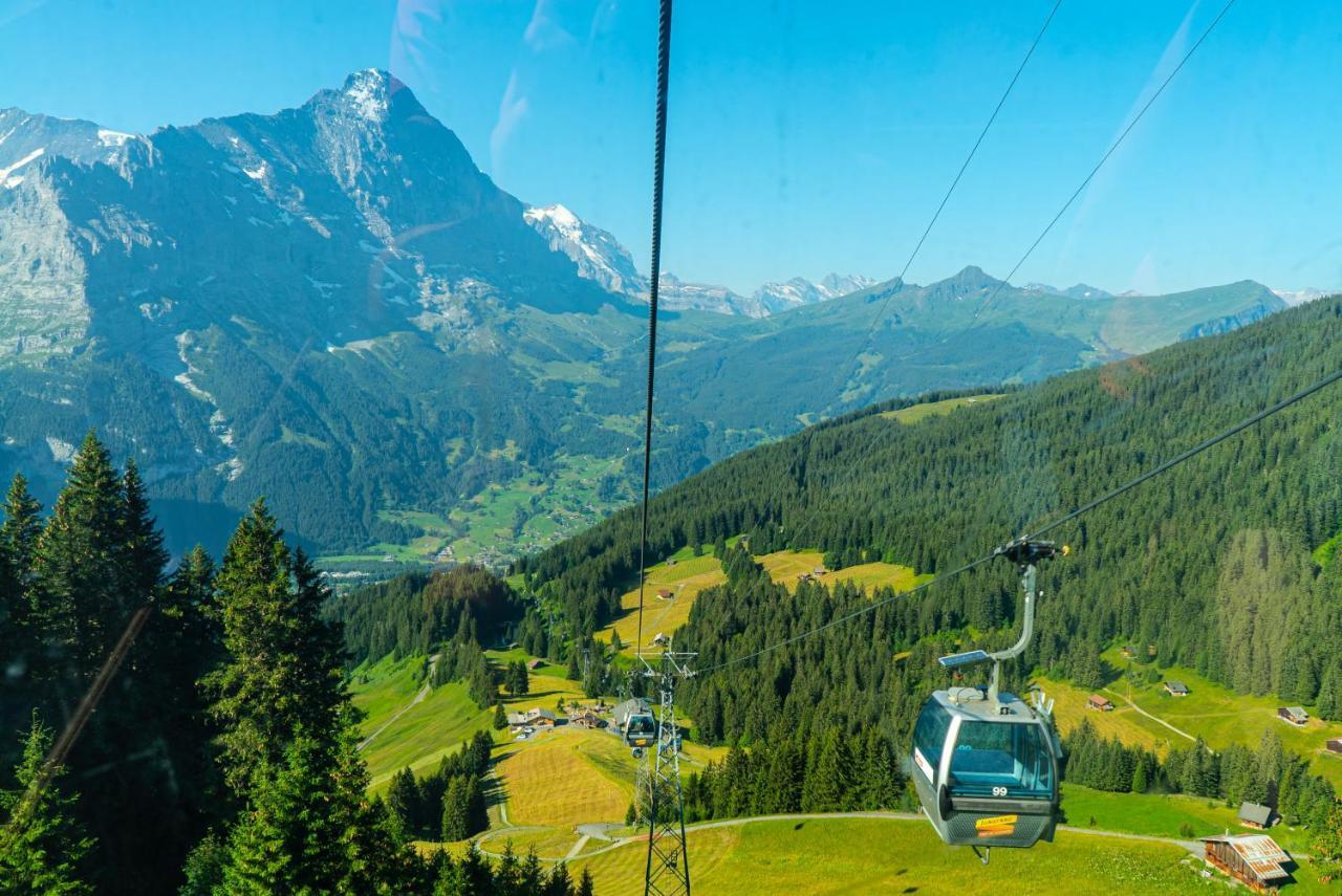 Chalet Acheregg Lägenhet Wengen Exteriör bild