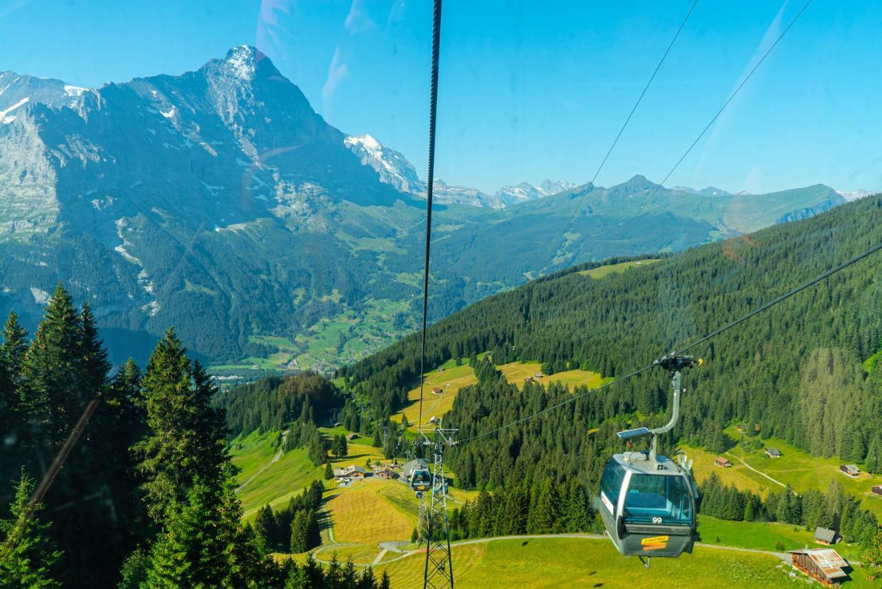 Chalet Acheregg Wengen Exteriör bild
